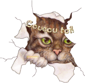 Gif animé coucou toi chat